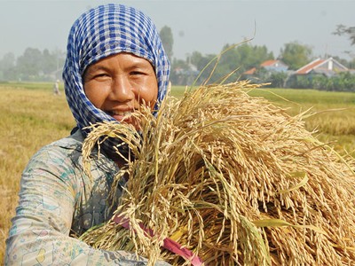 20 năm cho một tấm lá chắn rủi ro